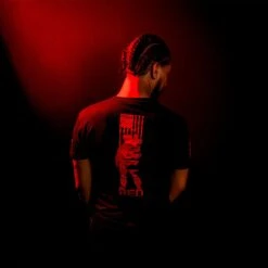 R.E.D. All Forces T-Shirt - Black -Daily Clothing Store BlankPoster 2000x2000 copy GS5109 R.E.D.AllForces Black min